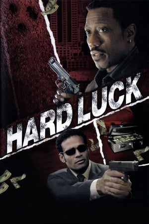 Hard Luck 2006 Dual Audio Hindi