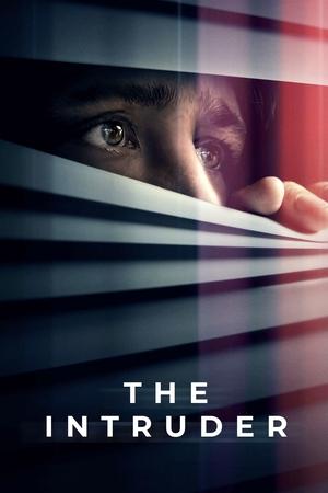 The Intruder 2024 HDRip