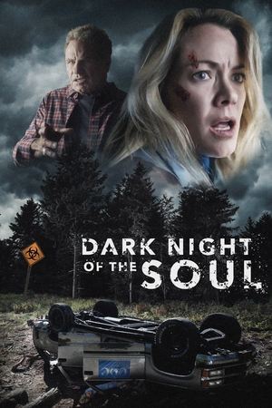 Dark Night of the Soul 2024 BRRip