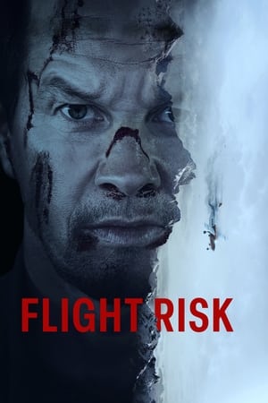 Flight Risk 2025 HDRip