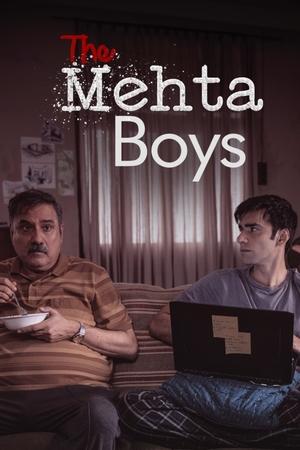 The Mehta Boys 2025 AMZN Hindi