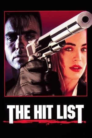 The Hit List 1993 Dual Audio Hindi