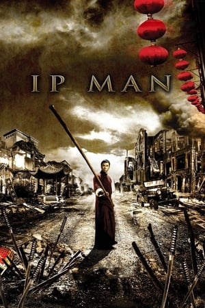 Ip Man 2008 Dual Audio