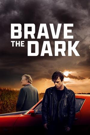 Brave the Dark 2025 HDRip