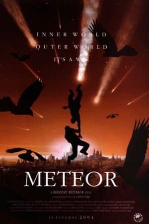 The Meteor 2004 Dual Audio Hindi