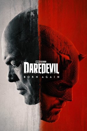 Daredevil: Born Again 2025 S01 Dual Audio Hindi