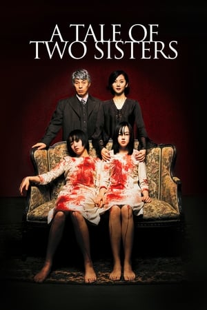 A Tale of Two Sisters 2003 AMZN Dual Audio Hindi