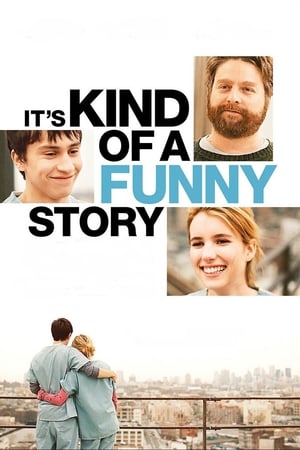 It's Kind of a Funny Story 2010 Dual AUDIO