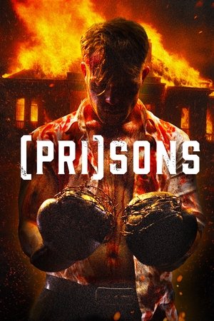 Prisons 2024 Dual Audio Hindi Finiish