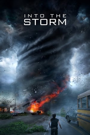Into the Storm 2014 Dual Audio
