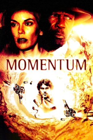 Momentum 2003 Dual Audio Hindi