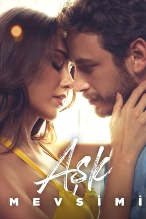 Season Of Love 2024 Hindi Turkish