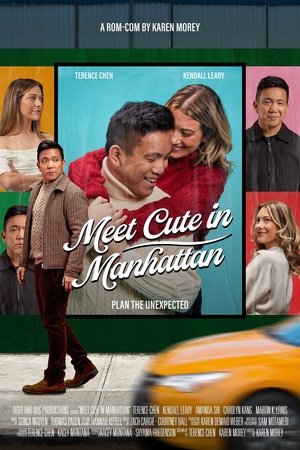 Meet Cute in Manhattan 2025 HDRip