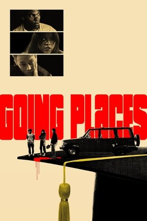 Going Places 2025 HDRip