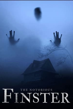 The Notorious Finster 2024 HDRip