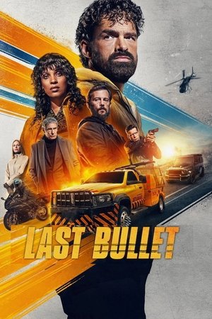 Last Bullet 2025 Dual Audio