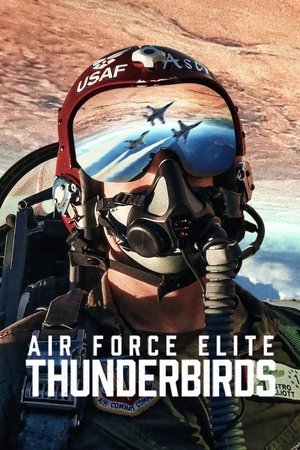 Air Force Elite: Thunderbirds 2025 Dual Audio