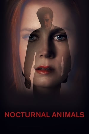 Nocturnal Animals 2016 Dual Audio