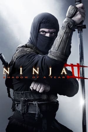 Ninja: Shadow of a Tear 2013 Dual Audio