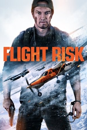 Flight Risk 2025 Dual Audio