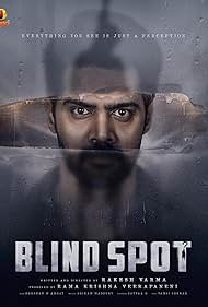 Blind Spot 2025 Hindi