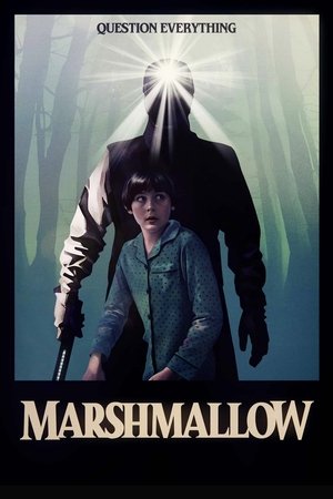 Marshmallow 2025 HDRIp