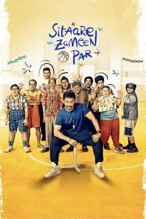 Sitaare Zameen Par 2025 HDTC Hindi