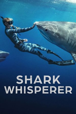 Shark Whisperer 2025 Dual Audio