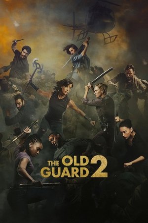 The Old Guard 2 2025 NF Dual Audio Hindi