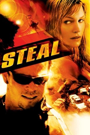 Steal 2002 Dual Audio Hindi