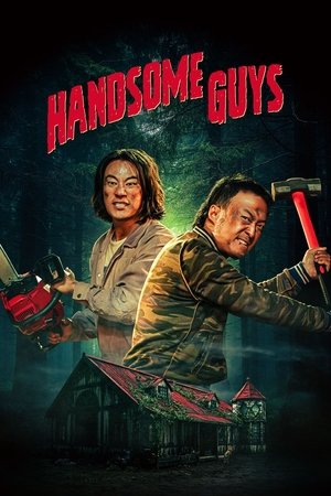 Handsome Guys 2024 AMZN Dual Audio Hindi