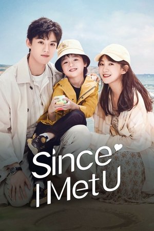 Since I Met You S01 2022 Hindi