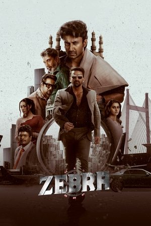 Zebra 2024 HIndi
