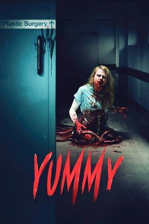 Yummy 2019 Dual Audio Hindi