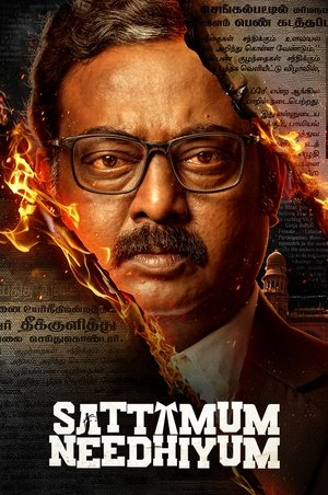 Sattamum Needhiyum S01 2025 Hindi