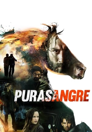 Purasangre - Thoroughbred 2016 Dual Audio