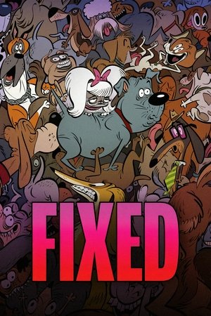 Fixed 2025 HDRip