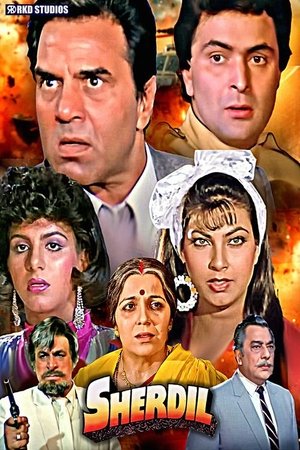 Sher Dil 1990 HDRip