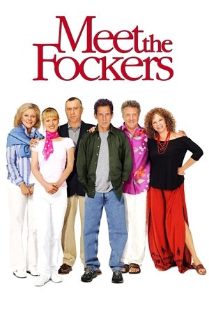 Meet the Fockers 2004 Dual Audio