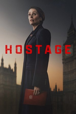 Hostage S01 2025 NF Dual Audio