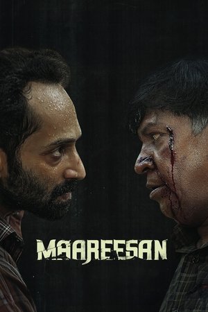Maareesan 2025 NF Hindi