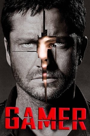 Gamer 2009 Dual Audio