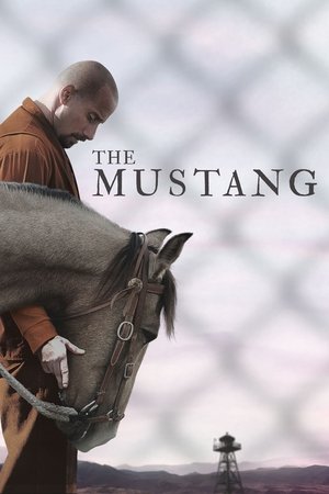The Mustang 2019 Dual Audio