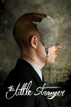 The Little Stranger 2018 Dual Audio