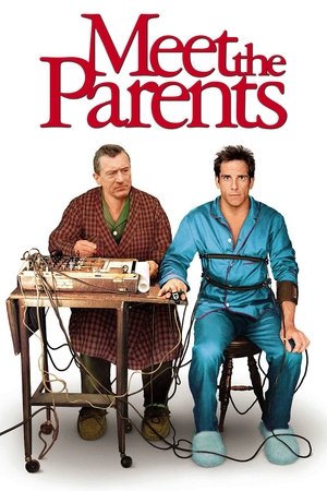 Meet The Parents 2000 Dual Audio