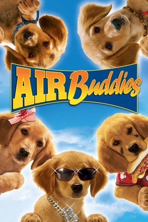 Air Buddies 2006  Dual Audio