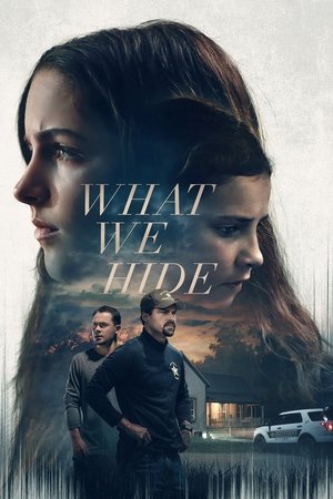What We Hide 2025 HDRip