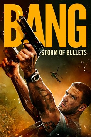 Bang 2025 BRRip
