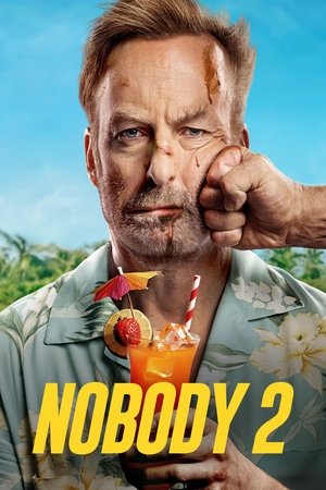 Nobody 2 2025 Dual Audio