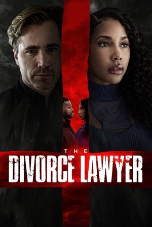 The Divorce Lawyer 2025 HDRip